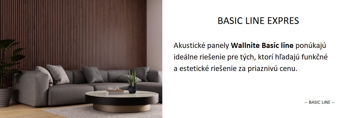 BASIC LINE EXPRES